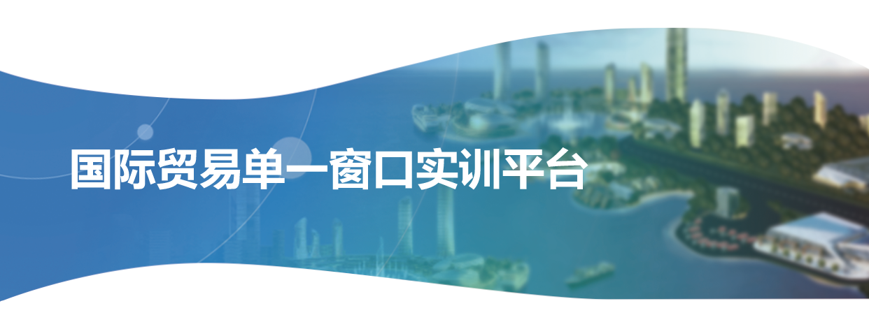 步惊云国际贸易单一窗口实训平台